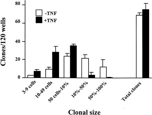 Fig. 3. The effect of TNF on growth of CD34+CD38− CB cells at the single cell level. / CD34+CD38− CB cells were plated at one cell/well in SF medium supplemented with KFT3 (as described in “Materials and methods”) in the absence (open bars) or presence (black bars) of TNF (20 ng/mL). Cultures were scored for clonal size (from 3 cells to 100% of well covered by cells) and total number of positive wells as indicated following 10 to 12 days of culture. Each group consisted of 120 wells, and results presented are mean values (SEM) from 4 independent experiments.
