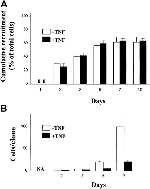 Fig. 4. Effect of TNF on recruitment of single CB CD34+CD38− cells into proliferation. / Single CD34+CD38− CB cells were deposited with a single cell depositor, coupled to a FACSVantage, into wells in Terasaki plates containing 20 μL SF medium supplemented with KFT3 in the absence or presence of TNF (20 ng/mL). Wells were inspected on the days indicated for recruitment into proliferation (first cell division; A) and clonal size (B). Results are presented as mean values (SD) of 2 independent experiments. 0 indicates no cell division; NA, not applicable.