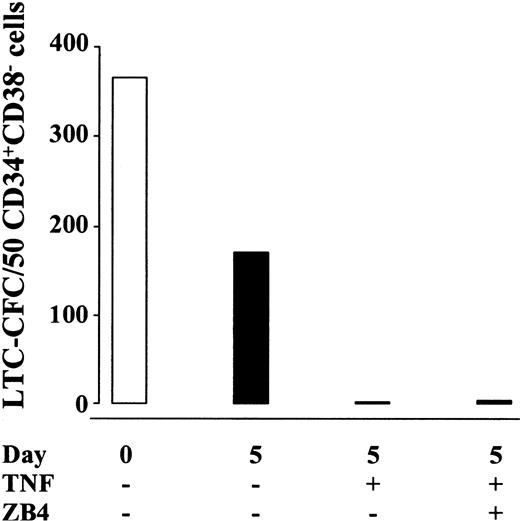 Fig. 10. The negative effect of TNF on self-renewal of candidate human HSCs is not dependent on the Fas pathway. / CD34+CB38− CB (one experiment) or BM (2 experiments) cells were cultured for 5 days in SF medium supplemented with KFT3 in the absence or presence of TNF (20 ng/mL) with or without ZB4 (1 μg/mL). Data show the mean number of CFCs generated (total of 8-10 replicates in 3 experiments) from 50 freshly isolated (open bar) or the EEs of 50 cultured (black bars) cells. ZB4 was also added to the long-term culture by the weekly medium changes to obtain the indicated concentration throughout the 6 weeks of coculture. The overall CFC values of cells cultured in the absence of TNF varied from 8 to 345 (5 of 8 replicates > 100). For cells cultured in the presence of TNF with or without ZB4, LTC-CFC varied from 0 (14 replicates) to 30 (1 replicate). ZB4 added to long-term cultures of fresh cells seeded on day 0 did not affect CFC formation (I.D. and S.E.W.J., unpublished observation, 2000).
