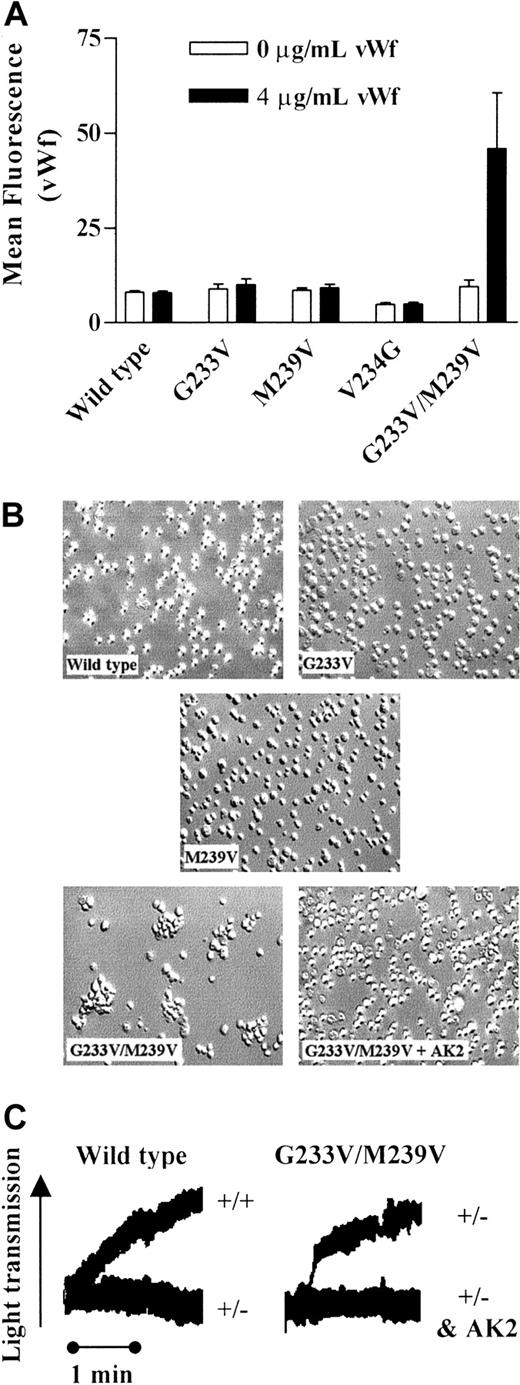 Fig. 4. vWf interaction with the G233V/M239V cell line in the absence of ristocetin. / (A) Wild-type, G233V, M239V, V234G, and G233V/M239V cells were incubated with 0 or 4 μg/mL vWf in the absence of ristocetin. Bound vWf was detected using an FITC-conjugated anti–human vWf antibody, followed by flow cytometric analysis. (B) CHO cells (wild type, G233V, M239V, and G233V/M239V) were stirred for 5 minutes in the presence of 10 μg/mL human vWf without ristocetin. G233V/M239V was also pretreated for 10 minutes with 5 μg/mL AK2 before the addition of vWf (G233V/M239V + AK2). Cells were fixed and mounted onto glass microscope slides, and differential interference contrast images were captured as described in “Materials and methods.” (C) Aggregation traces for wild-type cells incubated with 10 μg/mL vWf in the presence (+/+) and absence (+/−) of 1 mg/mL ristocetin are presented. Traces for the G233V/M239V mutant incubated with vWf in the absence of ristocetin (+/−) and after pretreatment with AK2 (+/− and AK2) are also presented. Aggregation traces are representative of 3 experiments.