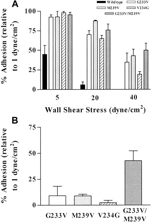 Fig. 6. Effect of platelet-type vWD mutations on shear-dependent cell detachment. / Cell detachment from the vWf matrix was determined at (A) 5, 20, and 40 dynes/cm2 and (B) 60 dynes/cm2, as described in “Materials and methods.” It is expressed as the percentage adhesion at each shear stress relative to the number of adherent cells at 1 dyne/cm2, arbitrarily defined as 100%.