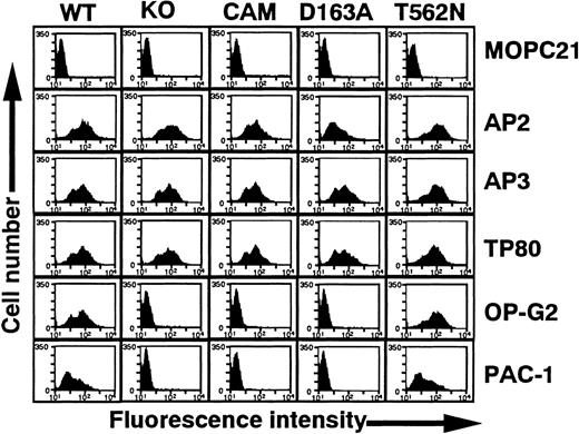 Fig. 1. Flow cytometric analysis of 293 cells transiently expressing mutant GPIIb-IIIa. / WT, wild-type GPIIb-IIIa; KO, GPIIb-IIIa having 2 amino acid insertion between 160-161 of GPIIb; CAM, GPIIb-IIIa having D119→Y in GPIIIa; D163A, GPIIb-IIIa having D163→A in GPIIb; and T562N, GPIIb-IIIa having T562→N in GPIIIa. Cells were incubated with 10 μg/mL following mAbs: AP2, specific for GPIIb-IIIa complex; AP3, specific for GPIIIa; TP80, specific for GPIIb; OP-G2, activation-independent ligand-mimetic mAb to GPIIb-IIIa. Bound antibodies were detected by FITC-labeled goat anti–mouse immunoglobulin. The binding of PAC-1 (activation-dependent ligand mimetic mAb to GPIIb-IIIa) was examined in the presence of 10 μg/mL PT25-2 and detected by FITC-labeled goat anti–mouse IgM. MOPC21 (mouse myeloma IgG1) was used as a control antibody.