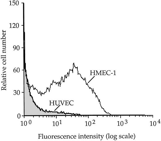 Fig. 5. Flow cytometric analysis of VT-1 receptor expression on unstimulated HMEC-1 and HUVECs using FITC-labeled VT-1B subunit. / Percentage of fluorescent HMEC-1 cells was 34% and of fluorescent HUVEC cells, 2%.