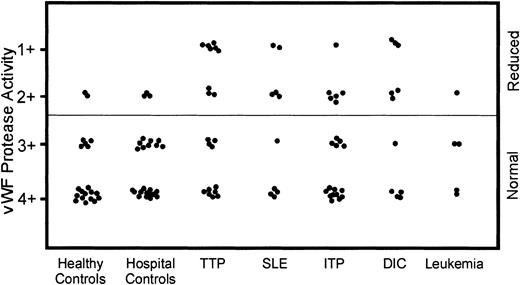 Fig. 2. Protease activity of vWF in samples from patients with various thrombocytopenic disorders and control samples. / The vWF protease activity in samples from patients with various thrombocytopenic disorders, healthy controls, and hospitalized patients without thrombocytopenia was measured using previously described methods. Most of the samples from healthy controls and hospital controls with normal platelet counts had normal vWF protease activity (3+ to 4+); however, some samples had decreased vWF protease activity (1+ to 2+). Many of the TTP samples had decreased vWF protease activity, but there were also TTP samples with normal vWF protease activity. The other thrombocytopenic groups also had samples with decreased vWF protease activity.