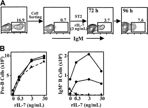 Fig. 6. IgM+ B cells generated in cultures from pre-B cell precursors obtained from embryo cell lines in the presence of rIL-7. / (A) CD19+IgM− B-cell precursors were purified by immunomagnetic depletion of IgM+ B cells from an embryo cell line, and they were replated in ST2/rIL-7 culture conditions. The numbers displayed in the contour plots correspond to the percentages of B cells inside the window, at the indicated time points. (B) CD19+IgM− B-cell precursors were purified as above from 2 embryo cell lines (circles) and one LFL/BM cell line (triangles) as control. The cells were cultured for 96 hours in the presence of ST2 cells and the indicated doses of rIL-7. At the end of the culture, the recovered cells were counted and analyzed as in Figure 5.