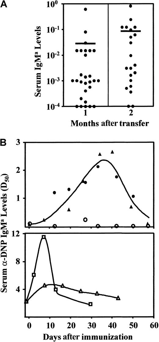 Fig. 8. B-cell repopulation of adult SCID mice with embryo cell lines and induction of specific humoral immune responses. / (A) Serum IgMa levels of reconstituted mice at 1 and 2 months after the adoptive transfer of embryo cell lines. They were defined by comparison to normal BALB/c serum levels (100titer). The data were obtained in IgM allotype-specific ELISAs as described in “Materials and methods.” Each point corresponds to one independent mouse. The mean values are indicated as in Figure 4. (B) Sequential anti-DNP IgMa serum titers were calculated with DNP-specific ELISAs after immunization with DNP-LPS. Black circles and triangles correspond to the mean values of 3 recipient SCID mice, each one injected with a different embryo cell line. Empty circles show the serum anti-DNP IgMa+ titers of reconstituted, but unimmunized, SCID mice (upper histogram). Empty squares and triangles are the mean values of 3 BALB/c and BALB/cnu/nu mice, respectively (lower histograms).