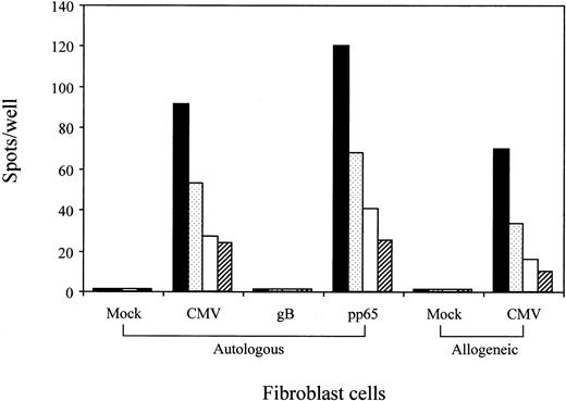 Fig. 6. Recognition by the QYDPVAALF-specific CD8+ T-cell clone of A24+ fibroblast cells infected either with CMV or recombinant vaccinia virus expressing pp65. / HLA-A24+ autologous and allogeneic fibroblast cells were mock- or CMV-infected and tested for stimulation of QYDPVAALF-specific CD8+ T-cell clone no. 1 in the ELISPOT assay. Autologous fibroblast cells infected with recombinant vaccinia virus expressing pp65 or glycoprotein B (gB) of CMV were also tested for stimulation of the T cells. A total of 200 (▪), 100 (), 50 (■), or 25 (▨) CD8+ T cells were cocultured with 10 000 fibroblast cells in each well. Each bar represents the average number of spots in duplicate wells.