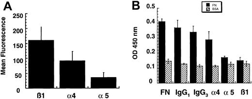 Fig. 1. U937 cells expressed both very late antigen (VLA) 4 (α4β1 heterodimer) and VLA-5 (α5β1 heterodimer) integrin but adhered to FN primarily by means of VLA-5 integrin. / (A) Cell-surface expression of integrin subunits was measured using flow cytometry. The mean fluorescence of 10 000 events for each subunit (3 independent experiments) is shown. (B) Blocking antibodies were used to determine the specificity of binding of U937 cells to FN. The presence of the α5 or the β1 blocking antibody reduced adhesion of U937 cells to levels comparable to those with BSA. In contrast, the α4 blocking antibody did not reduce cellular adhesion to FN.