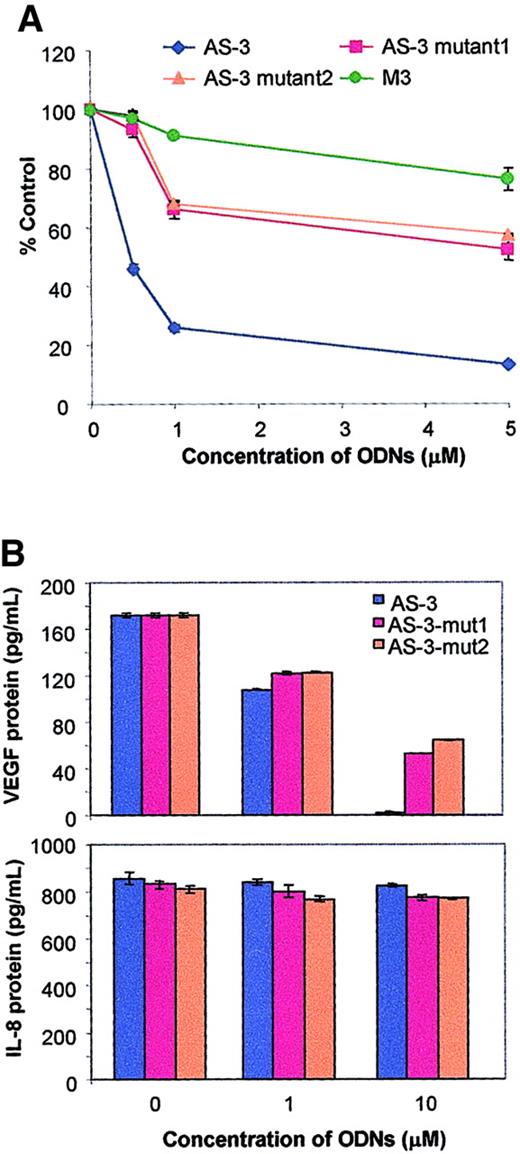 Fig. 2. VEGF antisense specifically inhibits VEGF. / (A) Effect of AS-3 and mutant AS-ODNs on the viability of KS Y-1 cells in vitro. Cells were seeded at 1 × 104 cells per well in 24-well plates and treated with the ODNs as indicated on days 1 and 3. Cell viability was performed on day 5 by MTT assay. Results represent the mean ± SE of quadruplicate samples. We also tested a previously described VEGF AS ODN, M3.64 (B) Effect of AS-3 and mutant AS-ODNs on the production of VEGF and IL-8. Cells were cultured in media supplemented with 2% FCS for these experiments. Cells were treated with various concentrations of the oligonucleotides at hours 0 and 16. The supernatants were collected at hour 24 and assayed for VEGF and IL-8 using ELISA kits. Results are presented as median of replicate experiments ± SE.
