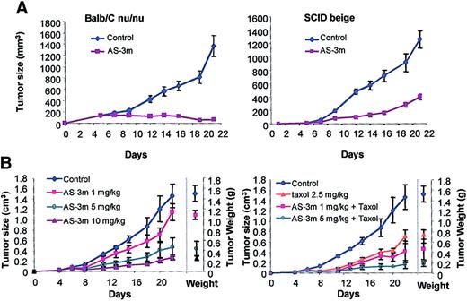 Fig. 7. Effect on tumor growth of mixed backbone VEGF antisense oligonucleotides in vivo. / Tumor xenografts were initiated by subcutaneous inoculation of cell lines in the lower back of BALB/C nu/nu athymic mice as described in “Materials and methods.” AS-3m was administered intraperitoneally daily for the study duration. (A) Effect of AS-3m on ovarian (Hey) tumors. Tumor growth curve in BALB/C athymic mice, which lack mature T-cells (left panel), and SCID beige mice in which T cells and B cells are absent and NK cells and macrophages are nonfunctional. In the absence of any appreciable immune function, AS-3m has antitumor activity. (B) Effect of combined treatment with AS-3m and chemotherapy (Taxol) on 5-day established M21 tumor xenografts. AS-3m or PBS was injected intraperitoneally daily beginning day 5. Taxol (2.5 mg/kg) was given intraperitoneally on days 5 and 12. The left panel shows dose response to AS-3m alone. The right panel shows results of combined treatments. Final tumor weights are shown to the right of the growth curves in each graph. Data represent the mean ± SD of 6 mice in each group.
