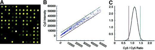 Fig. 1. Quality control of E-chip. / (A) Image of a laser-scanned microarray hybridized with 50 μg Cy3- and Cy5-labeled probe from the same pool of K562 erythroleukemia cell total RNA. (B) Scatter plot of signal intensity data collected from NBM (Cy3, 550-nm) scan and K562 (Cy5, 650-nm) scan with 3 SDs. (C) Density plot of NBM (Cy3) signal intensity over K562 (Cy5) signal intensity. The ratio limits (Cy3/Cy5 ratios of less than 0.85 or greater than 1.43) used to calculate significant changes in expression levels indicate P ≤ .01.