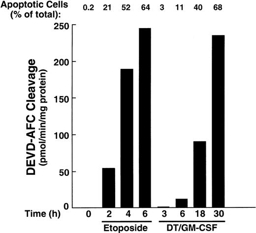 Fig. 5. Caspase-3–like enzymatic activity in HL-60 cells treated with etoposide or DT388–GM-CSF. / Cells were incubated with etoposide (68 μM) or DT388–GM-CSF (40 nM) for the indicated times, and cytosol was prepared and assayed for activity that cleaves the fluorogenic substrate DEVD-AFC.