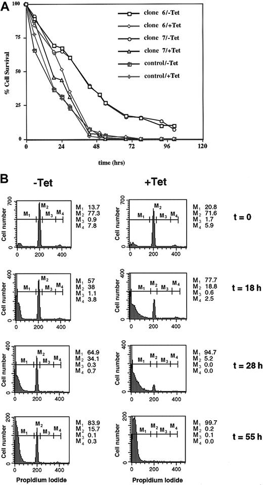 Fig. 4. DUB-2 prolongs survival following cytokine withdrawal. / (A) Ba/F3β/tTA DUB-2 (clones 6 and 7) were incubated with or without tetracycline for 48 hours, stimulated with IL-2 for 4 hours, and incubated in cytokine-free medium for the indicated times. Cell death was monitored by trypan blue exclusion assay, and data expressed as percentage of cells excluding trypan blue. (B) Ba/F3β/tTA DUB-2 cells (clone 6, +/−Tet) were stimulated with IL-2 for 4 hours, and withdrawn from cytokine as above. At the indicated times, cells were stained with PI and analyzed by flow cytometry. Apoptotic cells correspond to cells with sub-G1 DNA content (M1). Numbers indicate the percentage of cells in the different phases of the cell cycle (M2: G0/G1; M3: S; M4: G2/M).