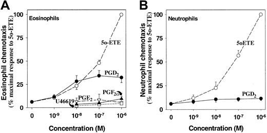 Fig. 1. The selectivity of PGD2 as an eosinophil chemoattractant. / The chemotactic effects of PGD2 and other eicosanoids on human eosinophils (A) and human neutrophils (B) were examined by means of a modified Boyden chamber assay followed by staining with hematoxylin and chromotrope 2R and counting cells that had migrated through to the bottom of the filter under a microscope. The results are expressed as percentages (± SE) of the maximal responses to 5-oxo-ETE (493 ± 68 cells per 5 high-power fields). Although it is not apparent from the Figure, a concentration of 1 μM 5-oxo-ETE induces close to the maximal response, with relatively little additional effect observed at higher concentrations. The number of cells migrating through the filter in control experiments with vehicle alone was 26 ± 4 cells per 5 high-power fields. Experiments were performed in duplicate on cells from the numbers of different individuals indicated for PGD2 (●; n = 8), 5-oxo-ETE (○, 5o-ETE; n = 8), PGF2α (▴; n = 4), PGE2 (▿; n = 3), and the TXA2 agonist U46619 (■; n = 3).