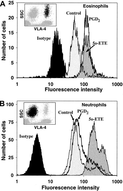 Fig. 2. Selective stimulation of CD11b expression on eosinophils by PGD2. / CD11b expression was measured by flow cytometry on eosinophils (A) and neutrophils (B), which were distinguished from one another and from other leukocytes on the basis of side scatter (SSC), a measure of granularity, and staining with PE-labeled anti–VLA-4. Eosinophils and neutrophils were gated out as shown by the dot plots in the insets. Eosinophils are shown by the black dots in the inset to panel A, whereas neutrophils are shown by the black dots in panel B. CD11b expression by the gated cells was measured by means of FITC-labeled anti-CD11b. Histograms are shown for cells stained with an FITC-labeled isotype control antibody (black) and with FITC-labeled anti-CD11b for unstimulated cells (control; light gray shading), PGD2(heavy line), and 5-oxo-ETE (5o-ETE, dark gray shading).