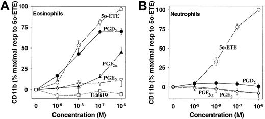 Fig. 3. Effects of PGD2 and other eicosanoids on CD11b expression by eosinophils and neutrophils. / CD11b expression was measured in eosinophils (A) and neutrophils (B) as shown in Figure 2. The results are expressed as percentages (± SE) of the maximal responses to 5-oxo-ETE for eosinophils (98% ± 9% above control) and neutrophils (114% ± 21% above control) after subtraction of control values. Experiments were performed on cells from the numbers of different individuals indicated for PGD2(●; n = 21) 5-oxo-ETE (○, 5o-ETE; n = 10), PGF2α(▴; n = 3), PGE2 (▿; n = 3), and U46619(■; n = 3).