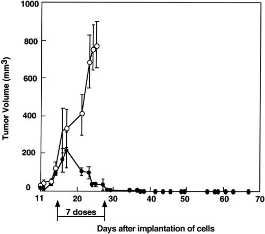 Fig. 2. Complete regression of ARH-77 myeloma xenografts in SCID mice after intratumoral injection of MV-Edm. / Tumors were injected directly with 107 pfu active (●) or UV-inactive MV-Edm (○) in 100 μL twice a week for a total of 7 doses. Each group consisted of 6 animals. All tumors treated with active MV-Edm showed complete response. One tumor in the MV-Edm–treated group regrew but regressed completely after another dose of 107 pfu MV-Edm.