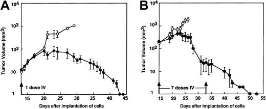 Fig. 5. Systemic MV-Edm therapy by intravenous administration into mice bearing ARH-77 myeloma xenografts. / Mice bearing ARH-77 myeloma xenografts were treated intravenously with a single dose (A) or 7 doses (B) of 107 pfu MV-Edm/100 μL (●) or UV-inactivated MV-Edm (○). The number of mice in each treatment group that received 1 dose or 7 doses of virus was 4 and 6, respectively. For both dosing regimes, the difference in tumor growth between the treatment group and the control group was significantly different (P = .0001).