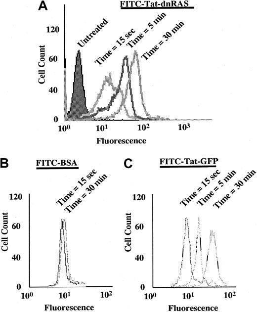 Fig. 2. FITC-labeled Tat-dn-H-Ras enters eosinophils. / Tat-dn-H-Ras was labeled with FITC, as described in “Materials and methods.” Human blood eosinophils resuspended in pH 6.8 HBSS without calcium or magnesium and 1% fetal calf serum were incubated with 100 nM FITC-Tat-dn-H-Ras, and, at 5-minute intervals, aliquots were analyzed by flow cytometry on a FACScan (A). As a control for protein bound to the cellular exterior, FITC-labeled bovine serum albumin was incubated with eosinophils under identical conditions (B). Uptake of the control Tat-GFP protein is similar to that of Tat-dn-H-Ras (C). These histograms are representative of 3 independent experiments.