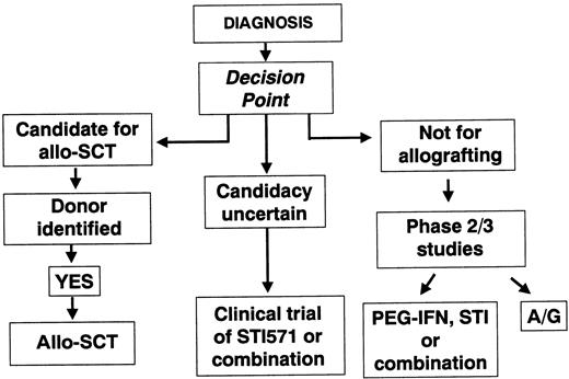Fig. 2. Schematic representation of option 2, by which some patients are offered treatment by allo-SCT soon after diagnosis if they are young and have a suitable donor. / Others are deemed ineligible for allo-SCT. The intermediate group is offered initial treatment with STI571 and may proceed to allo-SCT if the trial of STI571 is deemed to have failed. A/G indicates autografting.