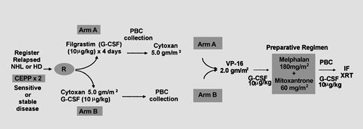 Fig. 1. Schematic representation of treatment protocol. / Patients with relapsed or refractory NHL or HD who were eligible for autologous transplantation were randomized to receive G-CSF alone or cyclophosphamide (5 g/m2) and G-CSF for HPC mobilization after salvage therapy with CEPP. All patients received the same dose of cyclophosphamide, followed by etoposide, before autologous transplantation. Involved field radiotherapy was given for bulky disease (mass greater than 5 cm).