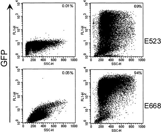 Fig. 1. High gene transfer efficiency into canine CD34+ cells by using a RD114-pseudotype vector. / Representative flow-cytometric analysis of CD34-enriched cells after transduction with RD114-pseudotype vector LgGLSN and before infusion into dogs E523 and E668. The left panel depicts mock-transduced CD34+ cells, and the right panel shows gene transfer efficiencies after transduction by LgGLSN.