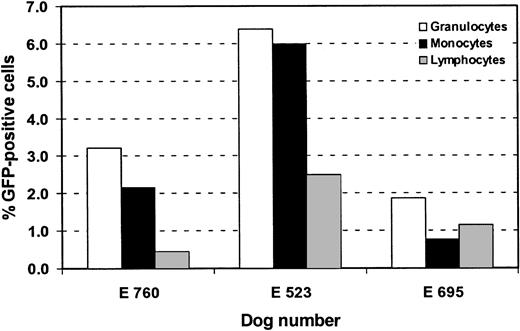 Fig. 5. Retroviral gene expression in hematopoietic subpopulations, using a RD114-pseudotype vector. / Flow cytometric analysis of GFP expression in granulocytes (DM5), monocytes (CD14), and T lymphocytes (CD3). Bars represent percentage of GFP-positive cells in these subpopulations. Analysis was done at different time points after transplantation. E760 was analyzed at week 10, E523 at week 49, and E695 at week 61.