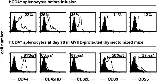 Fig. 3. After semiallogeneic BMT, donor T cells display a memory-activated phenotype in GCV-treated thymectomized recipients. / Experiments were performed on splenocytes recovered at day 78 after BMT and GCV administration. 84% ± 1% of mCD4+ cells express the hCD4 marker. Memory-activation markers were analyzed on mCD4+ hCD4+-gated T cells from grafted mice (n = 9) and compared to a pool of donor T cells before infusion (n = 3). Isotype-matched negative control is represented by a black histogram. For the semiallogeneic BMT group, cell frequencies are given as mean ± SEM.