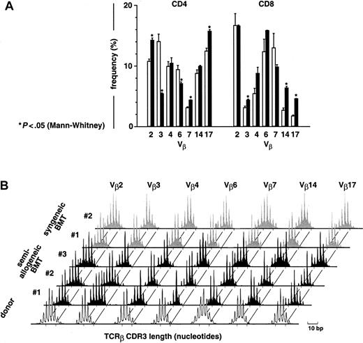Fig. 4. At day 78 after semiallogeneic BMT, donor T cells display a diversified repertoire in GCV-treated thymectomized recipients. / (A) At day 78, Vβ usage was determined by flow cytometry in mCD4+- and mCD8+-gated subsets using a series of 7 monoclonal antibodies covering approximately two thirds of the T-cell repertoire. Results are given as mean ± SEM for both the semiallogeneic BMT group (▪, n = 9) and a series of donor T cells before infusion (■, n = 5). (B) Diversity of the T-cell repertoire was determined in the spleen by analyzing the distribution of TCRβ CDR3 transcript lengths (immunoscope method1617). Peaks were separated by a 3-nucleotide length, corresponding to in-frame transcripts. Representative data are shown for 3 of 7 thymectomized mice from the semiallogeneic BMT group treated by GCV (day 78, black), compared to the Gaussian-like distribution of donor T cells before infusion (white) and to a syngeneic BMT group of thymectomized mice treated by GCV (day 90, gray).