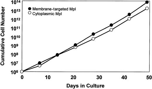 Fig. 3. Cytoplasmic Mpl supports proliferation of murine marrow cells indistinguishable from its membrane-tethered counterpart. / Murine bone marrow cells transduced with retroviral vectors encoding either membrane-targeted Mpl (closed circles) or cytoplasmic Mpl (open circles) were cultured in suspension in the presence or absence of AP20187 (100 nM). Cell growth failed to occur in the absence of AP20187 (data not shown). Results depict a single representative experiment from among 4 independent transductions.