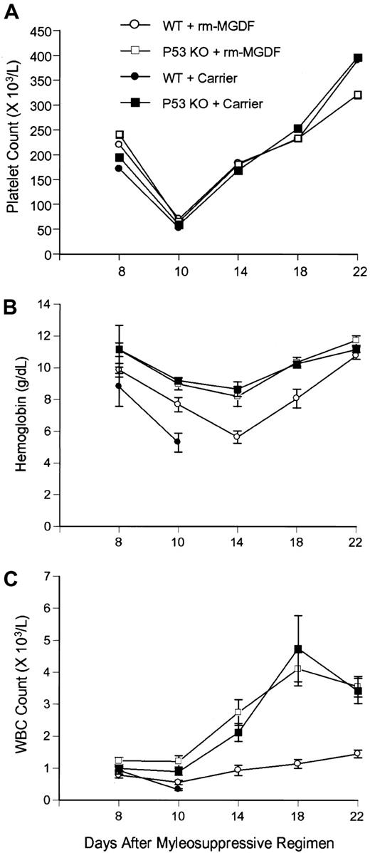 Fig. 2. Effect of Mpl ligand on hematopoietic suppression and recovery in wild-type and. / p53−/− mice after lethal myelosuppression. The effects of PEG-rmMGDF administered immediately after carboplatin and γ-IR on platelet count (A), hemoglobin concentration (B), and WBC count (C), inp53−/− mice (7 mice) and wild-type C57Bl/6J mice (7 mice). As controls, p53−/− mice and wild-type mice (7 mice per group) were treated with carrier. Each point represents ± SEM. The trends were reproducible in 2 subsequent experiments.