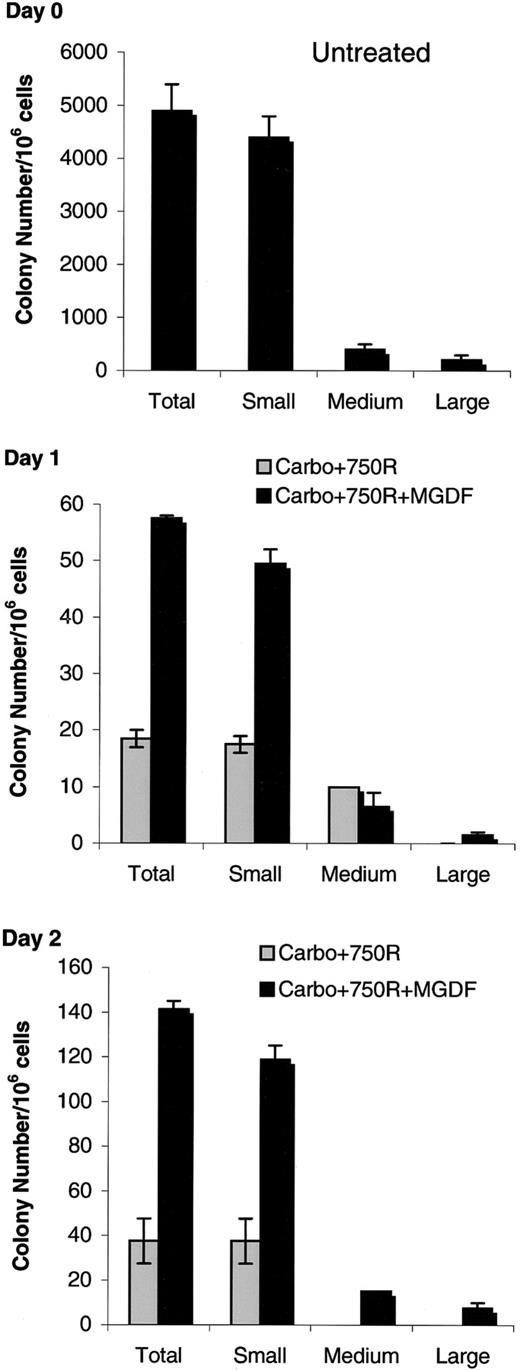 Fig. 3. Mpl ligand promotes survival of hematopoietic progenitor cells. / Mice were given 80 mg/kg carboplatin intravenously, and 7.5 Gy Cs-137 TBI, then either PEG-rmMGDF or carrier (1-2 mice per group). Bone marrow cells were collected 1 (middle panel) or 2 (bottom panel) days later and plated in methylcellulose-containing medium with IL-3 (2 dishes per bone marrow sample). Colonies were scored on day 13, and colony sizes were classified as large (> 500 cells/colony), medium (200-400 cells/colony), or small (15-150 cells/colony). Untreated (top panel) colonies formed from bone marrow collected from mice that received no carboplatin/TBI. Bars represent means ± SEM.