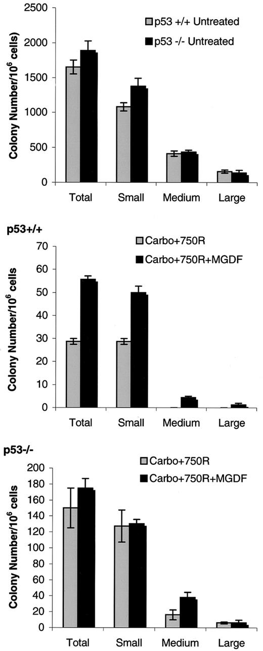 Fig. 4. Effect of Mpl ligand on survival of hematopoietic progenitor cells from marrow of myelosuppressed p53. / −/− mice compared with carrier-treated p53−/− mice. Mice were given 80 mg/kg carboplatin intravenously, and 7.5 Gy Cs-137 TBI, then either PEG-rmMGDF or carrier (1-2 mice per group). Bone marrow cells were collected 2 days later and plated in methylcellulose-containing medium with IL-3 (2 dishes per bone marrow sample). Colonies were scored on day 13, and colony sizes were classified as large (> 500 cells/colony), medium (200-400 cells/colony), or small (15-150 cells/colony). Untreated (top panel) colonies formed from bone marrow collected from mice that received no carboplatin/TBI. Bars represent mean ± SEM. The trend was reproducible in a repeat experiment.
