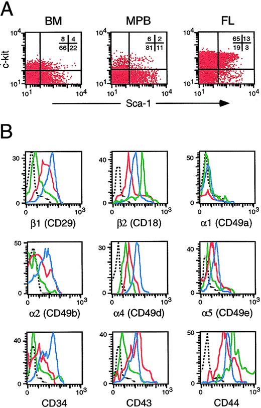 Fig. 3. Integrin expression on phenotypically primitive adult mouse BM, FL, and MPB cells. / Cells were stained with MoAbs specific for Sca-1, c-kit, and each of the indicated adhesion molecules. Panel A shows the distribution of viable cells in each tissue according to Sca-1 and c-kit expression. Panel B shows differences in integrin expression on Sca-1+c-kit+ cells from FL (blue histograms), BM (red histograms), and MPB (green histograms) cells. Dashed lines represent background staining with appropriate isotype control antibodies. Data are representative of results obtained in 3 independent experiments.