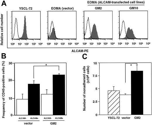 Fig. 1. An ALCAM-transfected endothelial cell line supports hematopoiesis. / (A) EOMA was transfected with full-length ALCAM cDNA or vector alone. E11-derived yolk sac endothelial cell line, YSCL-72, and established ALCAM-transfected cell lines, GM2 and GM10, were examined for their expression of ALCAM by FACS. (B) ALCAM+ or ALCAM− bone marrow mononuclear cells were cultured with vector-transfected stromal cells or ALCAM-transfected stromal cells (GM2). After 4 or 5 hours of incubation, cells were washed several times, and the remaining cells were analyzed for the expression of CD45; *P < .05. (C) A total of 1000 fetal liver–derived stem cells (Lin−Sca-1+c-Kit+) were plated onto each stromal cell line and cultured for 6 days without cytokines. Nonadherent cells were harvested, and the cell number was scored; *P < .05.