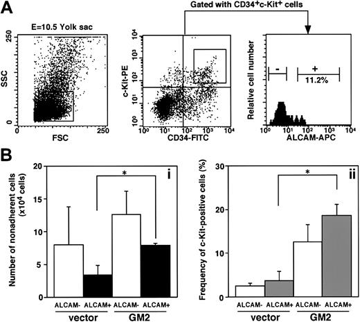 Fig. 3. Examination of ability to support yolk sac–derived hematopoiesis in an ALCAM-transfected endothelial cell line. / (A) E10.5-derived yolk sac cells were stained with anti-CD34 antibody, anti–c-Kit antibody, and anti-ALCAM antibody. CD34+c-Kit+ cells were subdivided on the basis of the expression of ALCAM. (B) A total of 1000 CD34+c-Kit+ALCAM− or CD34+c-Kit+ALCAM+ cells were cultured with GM2 cells (ALCAM-transfected cell line) or vector-transfected cells for 7 days. The number of nonadherent cell was scored (Bi), and expression of c-Kit was analyzed by FACS (Bii). *P < .05.