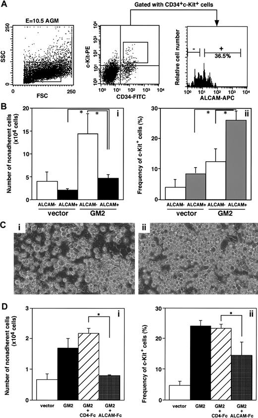 Fig. 4. Examination of the ability to support AGM derived-hematopoiesis in an ALCAM-transfected endothelial cell line. / (A) E10.5-derived AGM cells were fractionated into CD34+c-Kit+ cells and further subdivided at the expression of ALCAM. Among CD34+c-Kit+ cells, 72.4% were CD45+ (data not shown). (B) A total of 1000 CD34+c-Kit+ALCAM+ cells were cultured with ALCAM-transfected GM2 cells or vector-transfected cells for 7 days. Nonadherent cell number was scored (Bi), and expression of c-Kit was examined by FACS (Bii). *P < .05. (C) Hematopoietic colony morphologies of CD34+c-Kit+ALCAM+ cells were cultured on vector-transfected cells (Ci) or ALCAM-transfected cells (Cii) for 7 days. (Ci) Macrophagelike cells that predominate in the culture (× 200). (Cii) Blastlike cells (× 200). (D) A total of 1000 CD34+c-Kit+ cells were cultured in the presence of ALCAM-Fc or control CD4-Fc for 7 days. Nonadherent cells were harvested, and the cell number was scored (Di). Expression of c-Kit was examined in each nonadherent cell by FACS (Dii). *P < .05.
