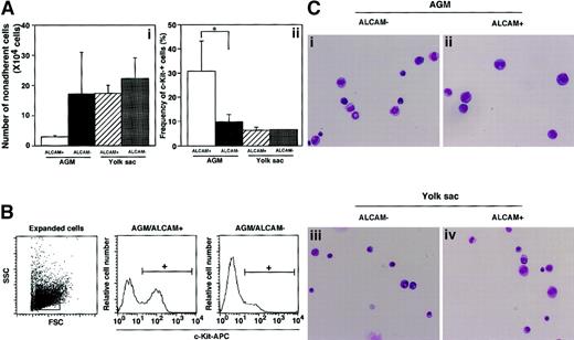 Fig. 7. Differentiation of hematopoietic cells derived from endothelial progenitor cells. / (A,B) E10.5 AGM– or yolk sac–derived cells were fractionated into Flk-1+CD31+ cells and further subdivided on the basis of the expression of ALCAM. A total of 1000 Flk-1+CD31+ALCAM+ or Flk-1+CD31+ALCAM− cells were cultured with OP9 cell for 7 days in the presence of SCF, Epo, IL-6, and IL-7. After nonadherent cells were harvested, the number of cells was scored (Ai) and the frequency of c-Kit expression was analyzed by FACS (Aii,B). *P < .05. (C) Morphology in each nonadherent cell was examined by May-Grünwald-Giemsa staining; expanded hematopoietic cells in AGM-derived Flk-1+CD31+ ALCAM− cells (Ci), AGM-derived Flk-1+CD31+ALCAM+ cells (Cii), yolk sac–derived Flk-1+CD31+ALCAM− cells (Ciii), and yolk sac–derived Flk-1+CD31+ALCAM+ cells (Civ). Note that immature hematopoietic precursor cells were observed in AGM-derived Flk-1+CD31+ALCAM+cells (Cii).