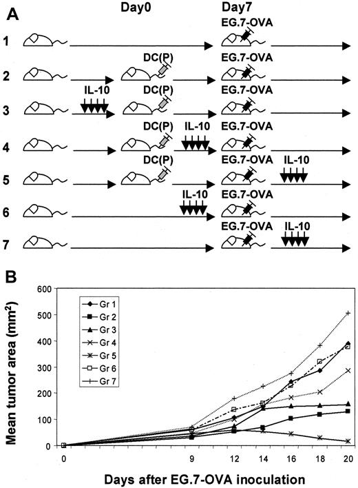Fig. 1. Evaluation of various schemas for the administration of IL-10 in tumor protection models involving vaccination with peptide-pulsed DCs. / (A) Fundamentally, we evaluated several tumor challenge models involving DC vaccination. We compared the various indicated application schedules for IL-10 administration in such models. (B) EG.7-OVA tumor growth in vaccinated mice was evaluated for each of these treatment schemas. In group 5, tumors grew transiently but decreased afterward, whereas in other groups tumors grew progressively. In groups 2 and 3, tumors grew progressively after 30 days. These data represent the mean tumor area for 5 mice per group. Standard deviations were less than 15%. This experiment was performed 3 times, with comparable data obtained in each experiment.