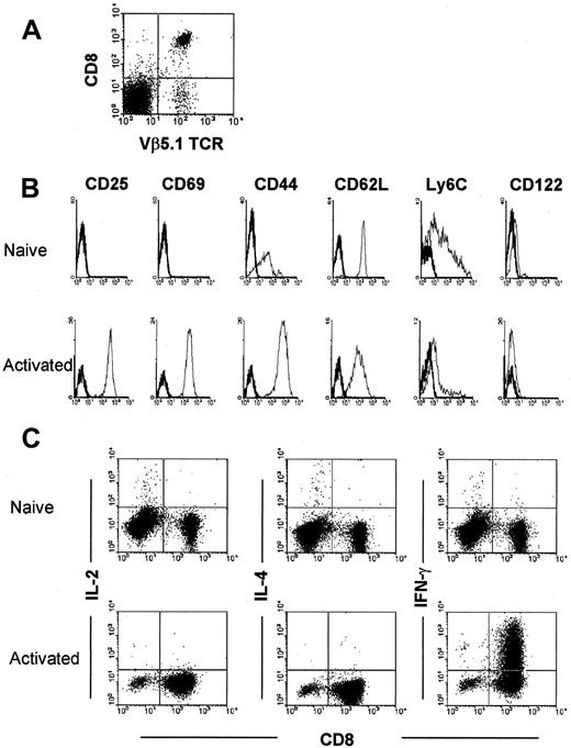 Fig. 7. Characterization of naive and activated OVA-specific OT-1 T cells from spleen cells of OT-1 mice. / (A) Isolated CD8+ T cells from spleen cells of OT-1 mice were analyzed by 2-color flow cytometric analysis using anti-CD8 and anti-Vβ 5.1 and 5.2 mAbs. (B) After 36 hours culture with 1 × 10−6 M OVA peptide-pulsed syngeneic C57BL/b spleen cells, these T cells expressed an activated phenotype—ie, they expressed CD25, CD69, and CD44 antigen. (C) They also produced IFN-γ but not IL-2 and IL-4.