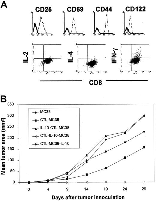 Fig. 11. Prophylactic activity of tumor-specific CTL clone is enhanced by IL-10 in MC38 models. / (A) An MC38-reactive CTL clone expressing CD25+, CD69+, CD122+, and CD44hi phenotype and capable of secreting IFN-γ, but not IL-2 and IL-4, in a stable state was used in adoptive-protection experiments. (B) Injection of the MC38-reactive CTL clone, followed by IL-10, suppressed the growth of subsequently transplanted MC38 tumors. As in the schedule of the experiment in Figure 2, 1 × 105 cells of the CTL clone were adoptively transferred into syngeneic B6 mice. One week later, 3 × 105 MC38 were inoculated as a tumor challenge. Scheduling IL-10 injections (40 μg per mouse for 7 consecutive days) was different in each treatment group and was allowed for the discrimination of IL-10 effects when provided before CTL transfer (IL–10-CTL–MC38) versus after CTL transfer (CTL–IL-10–MC38) or after tumor challenge (CTL–MC38–IL-10).