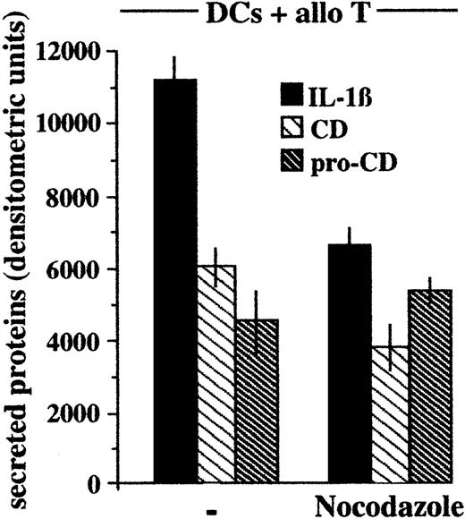 Fig. 8. Nocodazole inhibits secretion of cathepsin D and IL-1β. / Densitometric analyses of IL-1β, procathepsin D, and cathepsin D present in supernatants of LPS-activated DCs after 6 hours of coculture with alloreactive T cells (DCs + allo T) in the presence or absence of nocodazole. CD indicates cathepsin D; pro-CD, procathepsin D. One representative experiment of 3 is shown.