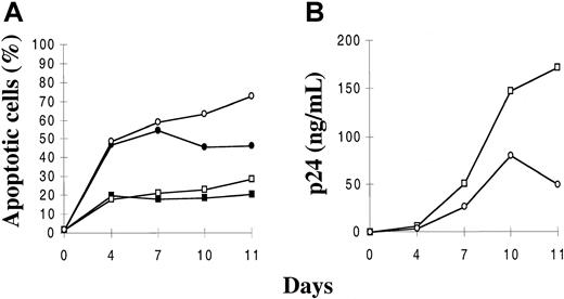 Fig. 1. Kinetics of apoptosis and viral production in mature SP CD4+ and immature (intermediate and TN) thymocytes. / Cells were isolated as described in “Materials and methods,” infected with a primary isolate HIV-1B-LAIp, and maintained in culture in the presence of IL-7 (5 ng/mL), TNF-α (1 ng/mL), IL-1 (10 ng/mL), and IL-6 (10 ng/mL). Percentages of apoptotic cells were determined by the Yopro dye technique (A), and viral production was evaluated by p24 titration in the culture supernatants (B). Data are given as a mean of independent experiments carried out with thymuses from 5 different donors. ▪ indicates SP CD4+; ●, immatures ■, SP CD4+/HIV; ○, immatures/HIV.