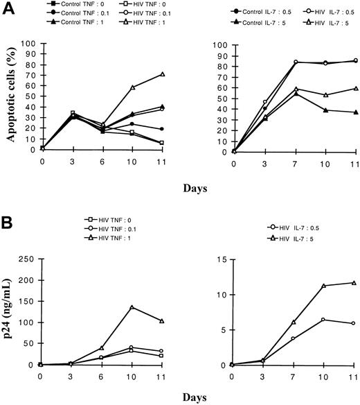 Fig. 3. Dose-effect of TNF-α and IL-7 on the kinetics of apoptosis and viral production in immature (intermediate and TN) thymocytes. / Cells were isolated as described in “Materials and methods,” infected with a primary isolate HIV-1B-LAIp, and maintained in culture in the presence of IL-1 (10 ng/mL), IL-6 (10 ng/mL), IL-7, and TNF-α. In panels A and B, cells were exposed to 2 different concentrations of TNF-α (0.1 or 1 ng/mL) in the presence of a constant concentration of IL-7 (5 ng/mL) (left panels), or they were exposed to 2 different concentrations of IL-7 (0.5 and 5 ng/mL) in the presence of a constant concentration of TNF-α (1 ng/mL) (right panels). Percentage of apoptotic cells was determined by the Yopro dye technique (A), and viral production was evaluated by p24 titration (B). The experiment presented here is representative of independent experiments carried out with thymuses from 3 different donors.