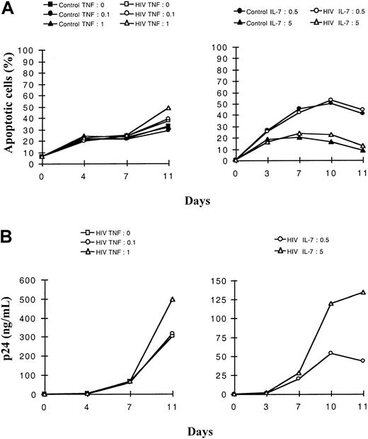 Fig. 4. Dose-effect of TNF-α and IL-7 on the kinetics of apoptosis and viral production in SP CD4+ thymocytes. / Cells were isolated as described in “Materials and methods,” infected with a primary isolate HIV-1B-LAIp, and maintained in culture in the presence of IL-1 (10 ng/mL), IL-6 (10 ng/mL), IL-7, and TNF-α. In panels A and B, cells were exposed to 2 different concentrations of TNF-α (0.1 or 1 ng/mL) in the presence of a constant concentration of IL-7 (5 ng/mL) (left panels), or they were exposed to 2 different concentrations of IL-7 (0.5 and 5 ng/mL) in the presence of a constant concentration of TNF-α (1 ng/mL) (right panels). Percentage of apoptotic cells was determined by the Yopro dye technique (A), and viral production was evaluated by p24 titration (B). The experiment presented here is representative of independent experiments carried out with thymuses from 3 different donors.