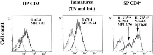 Fig. 5. Expression of IL-7R on DP CD3−, immature (intermediate and TN), and SP CD4+ thymocytes. / Cells were isolated as described in “Materials and methods” and were maintained in culture in medium alone for 1 day. Immunostaining of IL-7R was analyzed by flow cytometry. Percentage of labeled cells and mean fluorescence intensity (MFI) are indicated in each quadrant. The experiment presented here is representative of independent experiments carried out with thymuses from 3 to 4 different donors. Dotted line indicates isotypic control; solid line, IL-7R.