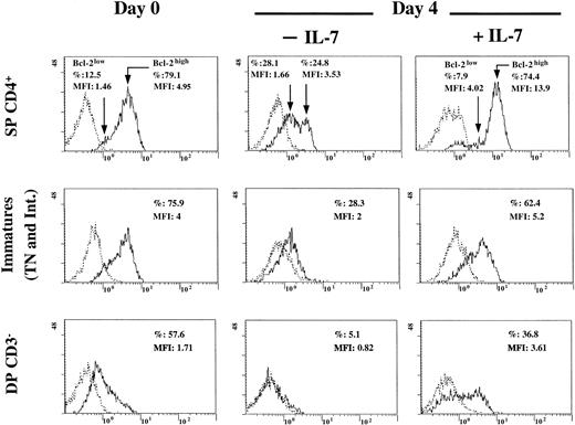 Fig. 6. Expression of Bcl-2 in DP CD3−, immature (intermediate and TN), and SP CD4+ thymocytes and role of IL-7. / Cells were isolated as described in “Materials and methods.” Immunostaining of Bcl-2 was analyzed by flow cytometry at the time of isolation and after 4 days of incubation in the presence or absence of IL-7 (5 ng/mL). Percentage of labeled cells and MFI are indicated in each quadrant. The experiment presented here is representative of independent experiments carried out with thymuses from 2 (day 0 and day 4) to 3 (day 0) different donors. Dotted line indicates isotypic control; solid line, Bcl-2.