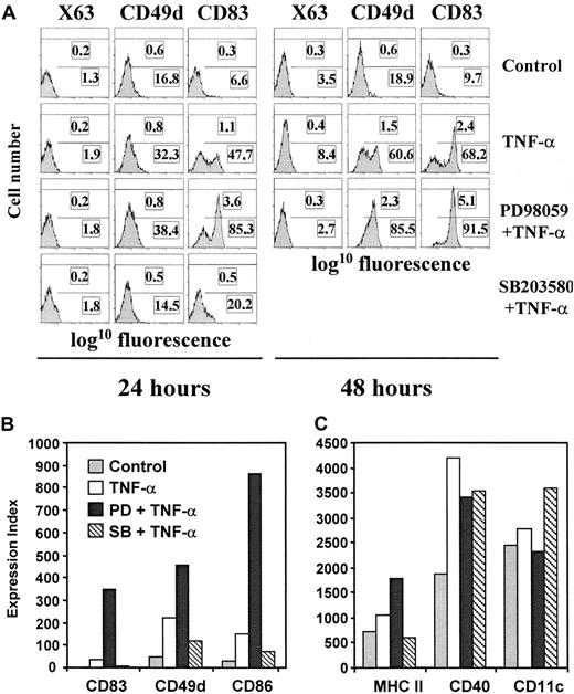 Fig. 2. PD98059 and SB203580 differentially regulate the phenotypic changes that take place during TNF-α–induced maturation of MDDC. / Immature MDDC were either not treated (control) or treated with TNF-α in the absence of inhibitors (TNF-α) or in presence of PD98059 (PD and TNF-α) or SB203580 (SB and TNF-α). After 24 hours (A) or 48 hours (B,C), cell-surface expression of CD83, CD49d, CD86, MHC class II, CD11c, and CD40 was determined by indirect immunofluorescence and fluorescence of a negative control antibody (X63). Flow cytometry profiles are shown in panel A, and data are given as an expression index (percentage of marker-positive cells multiplied by their MFI) in panels B and C. Each assessment was done at least 4 times and representative results are shown. The results shown in panels A and B and in panel C were obtained with samples from 2 different donors.