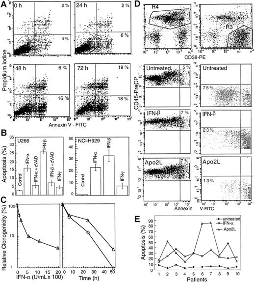 Fig. 1. IFN-α induces apoptosis in U266 MM cells. / (A) At the indicated times following IFN-α treatment, cells were subjected to bivariate flow cytometry following Annexin V/PI staining. The data were obtained from the cell population from which debris were gated out against forward and side scatter. (B) Cells were treated with IFNs for 72 hours in the presence or absence of 75 μM z-VAD-fmk (added at the time of IFN addition, and every 24 hours thereafter), and apoptosis was determined at 72 hours by Hoechst 33258 staining and expressed as the percentage of the total cells. (C) Clonogenic survival was determined following treatment for 48 hours with IFN-α (100-2000 U/mL; left panel). A time course was determined for cells treated for 6, 24, or 48 hours (right panel) with IFN-α (o) or -β (Δ) (2000 U/mL) and then cultured as described in “Materials and methods.” Data shown represent the mean value of 2 duplicate experiments, normalized against untreated cells. (D) Plasma cells were isolated from bone marrow aspirates of consenting patients with MM as described in “Materials and methods,” treated with IFN-α, -β, -γ, and Apo2L before being examined by triple staining for CD38, CD45, and Annexin V, indicative of apoptosis. R3 and R4 represent CD38+/CD45−/dim and CD45+ cells, respectively, with the gated regions being analyzed for Annexin V staining. (E) The response of patient plasma cells to INF-α and Apo2L was determined by Hoechst staining as above.