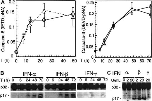 Fig. 3. IFN-α and -β induce caspase activation in MM cells. / U266 cells were collected at the indicated times (T) after IFN treatment and analyzed by protease activity assays for caspase 8 and caspase 3 by using the specific IETD and DEVD-pNA substrates (A) and Western blotting for caspase 3 cleavage (B). Data were representative of 3 separate experiments. (C) IFN-α and -β, but not -γ, induced caspase 3 cleavage in freshly isolated MM plasma cells (patient No. 2). Primary MM cells were isolated from bone marrow aspirates of patients, as described in “Materials and methods,” treated for 48 hours with IFNs, then subjected to Western blotting for caspase 3. The p32 kD band represents pro-caspase 3, whereas p17 represents its activated form.